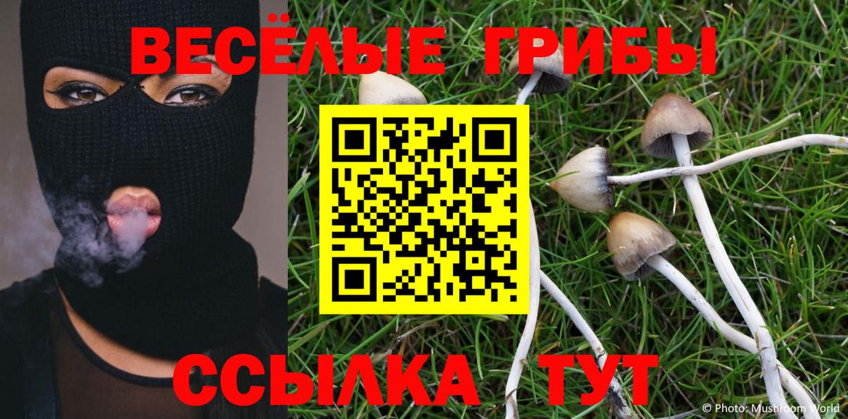 Псилоцибиновые грибы Psilocybe Петрозаводск