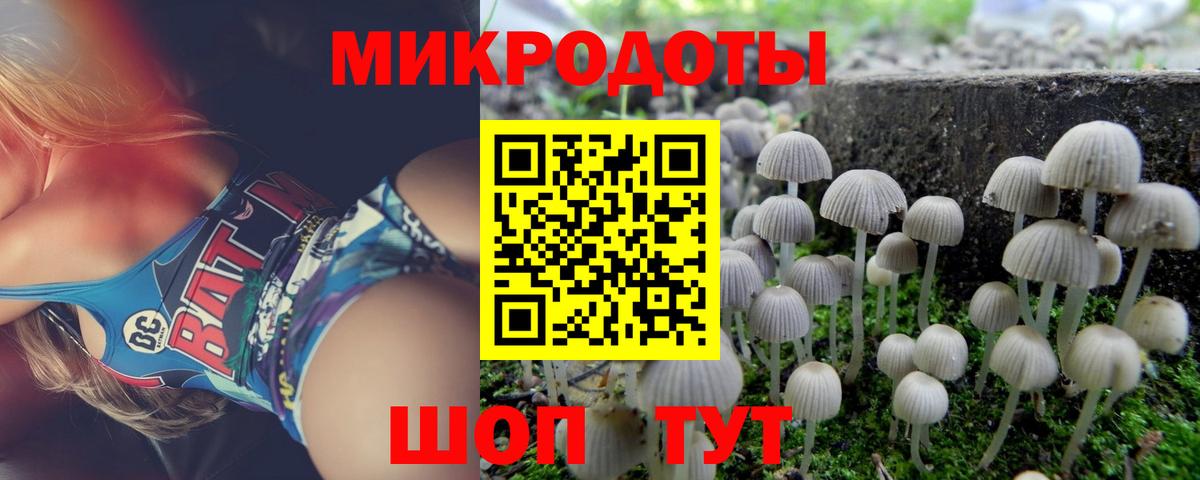 Галлюциногенные грибы GOLDEN TEACHER  Вход с VPN  Петрозаводск 