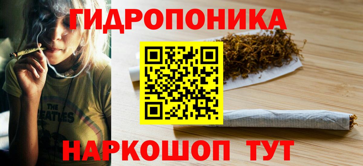 Бошки Шишки семена  Марихуана конопля  Каннабис тримм  Петрозаводск  Каннабис OG Kush  Вход с VPN 